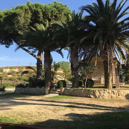 Agriturismo Il Poderino Villa Tarquinia Eksteriør bilde