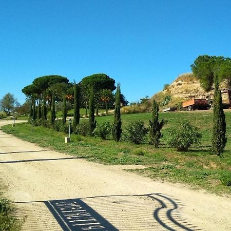 Agriturismo Il Poderino Villa Tarquinia Eksteriør bilde