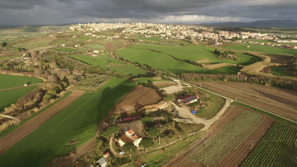 Agriturismo Il Poderino Tarquinia Eksteriør bilde