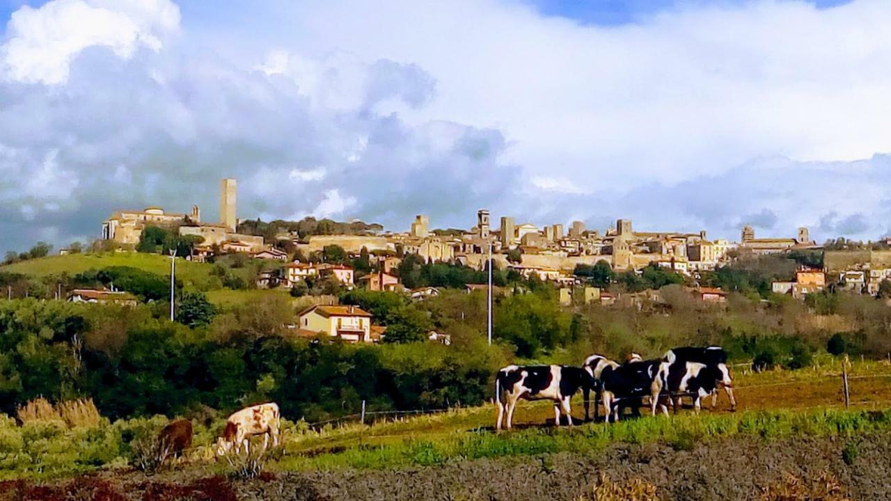 Agriturismo Il Poderino Villa Tarquinia Eksteriør bilde